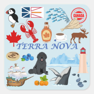 Adesivo Quadrado Terra Nova Terra Nova