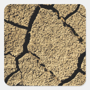 Adesivo Quadrado Terra seca com terra rachada em seca