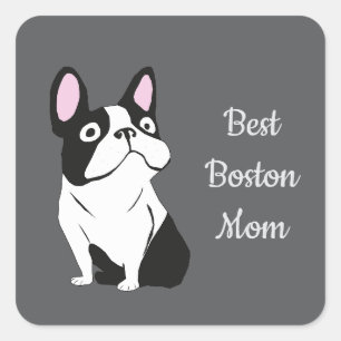 Adesivo Quadrado Terrier de Boston