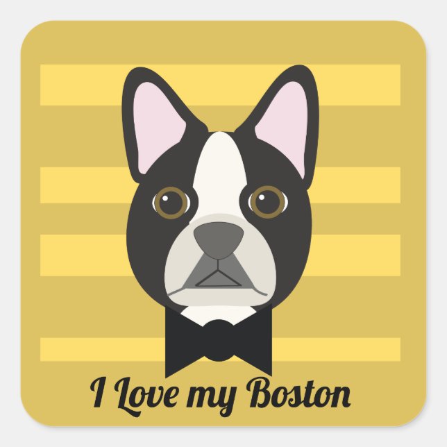 Adesivo Quadrado Terrier de Boston (Frente)