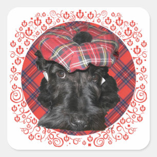 Adesivo Quadrado Terrier Escocês em Tartan