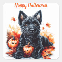 Terrier Halloween escocês