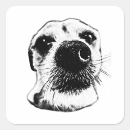 Adesivo Quadrado Terrier Nose Sticker – Up Close & Adorable