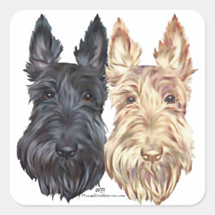 Adesivo Quadrado Terriers Escoceses Pretos e Trigo