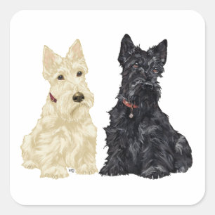 Adesivo Quadrado Terriers Escoceses Wheaten e Black