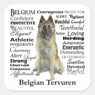 Adesivo Quadrado Tervuren Stickers Belga