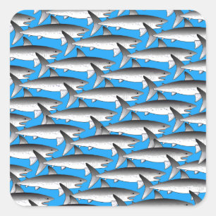 Adesivo Quadrado Teste padrão de Megalodon no azul