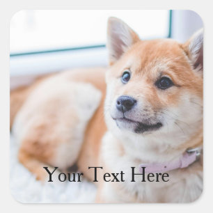 Adesivo Quadrado Texto e Foto Personalizadas do Cachorro