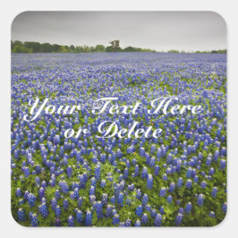 Adesivo Quadrado Texto Personalizado Azul Primavera Bluebonnets Tex
