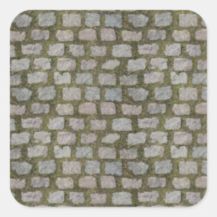 Adesivo Quadrado textura da estrada de cobblestone coberta pela mus