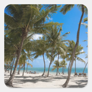 Adesivo Quadrado The Moorings Resort, Marathon, Key West, 2