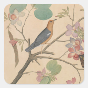 Adesivo Quadrado Thrush e Moth no chão das orquídeas