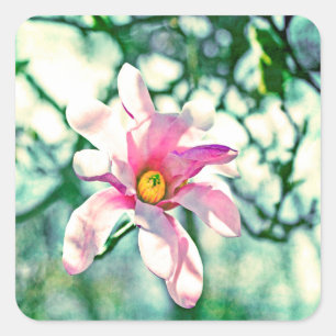 Adesivo Quadrado Tiffany Magnolia