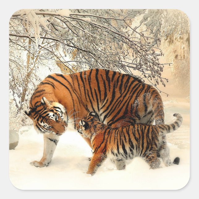Adesivo Quadrado Tiger and Cub, Winter Scene, (Frente)