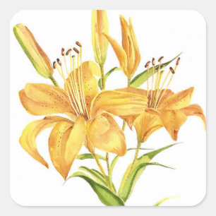 Adesivo Quadrado Tiger Lily