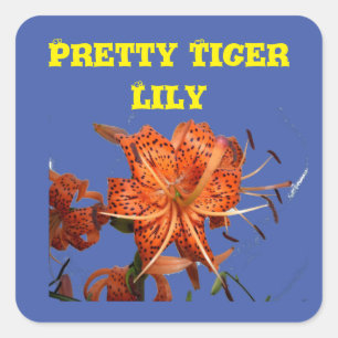 Adesivo Quadrado Tiger Lily preso no Blue Bloom por um Filhote