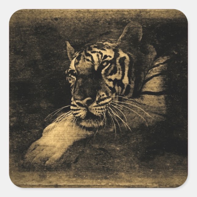 Adesivo Quadrado Tiger Vintage Art Sticker (Frente)