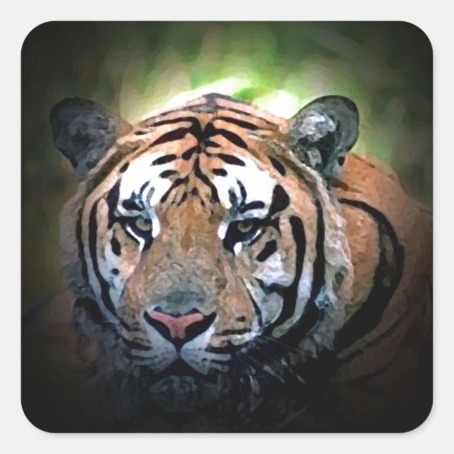 Adesivo Quadrado Tigre (Frente)