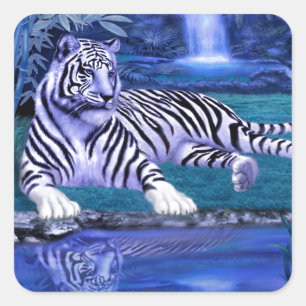 ADESIVO QUADRADO TIGRE DA SELVA.JPEG