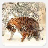 Tigre e filhote, Cena de Inverno,