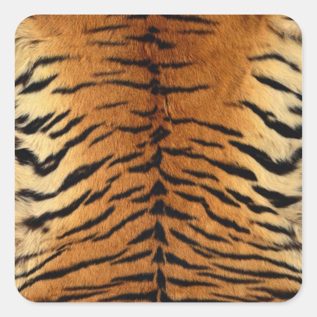 Adesivo Quadrado Tigre Impressão de peles com pelo (Frente)