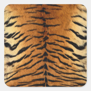 Adesivo Quadrado Tigre Impressão de peles com pelo
