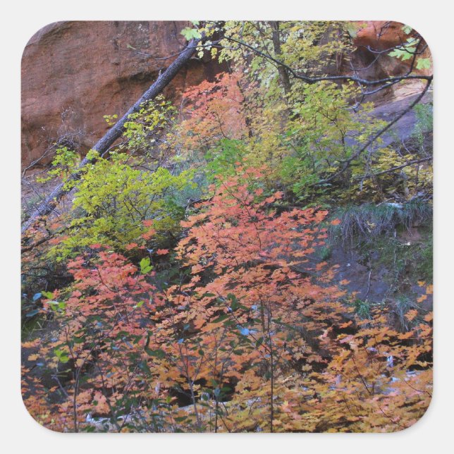 Adesivo Quadrado Todas as cores (Frente)