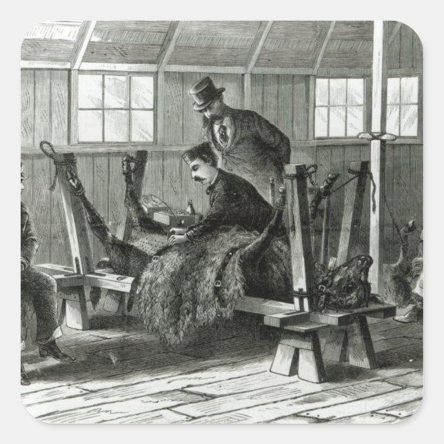 Adesivo Quadrado Tomar vírus do vitelo (Frente)