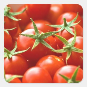 Adesivo Quadrado Tomates de cereja recentemente escolhidos