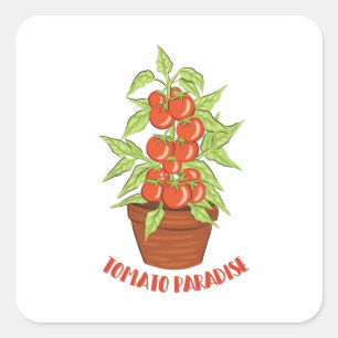 ADESIVO QUADRADO TOMATO PARADISE