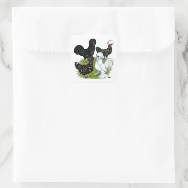 Adesivo Quadrado Top Hat Chicken Quartet (Bolsa)