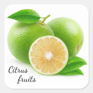 Adesivo Quadrado Toranja