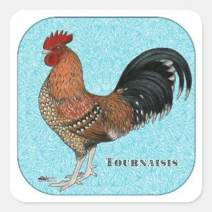 Adesivo Quadrado Tornaisis Rooster