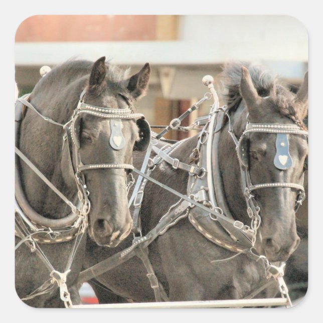 Adesivo Quadrado Trabalho em equipe (Frente)