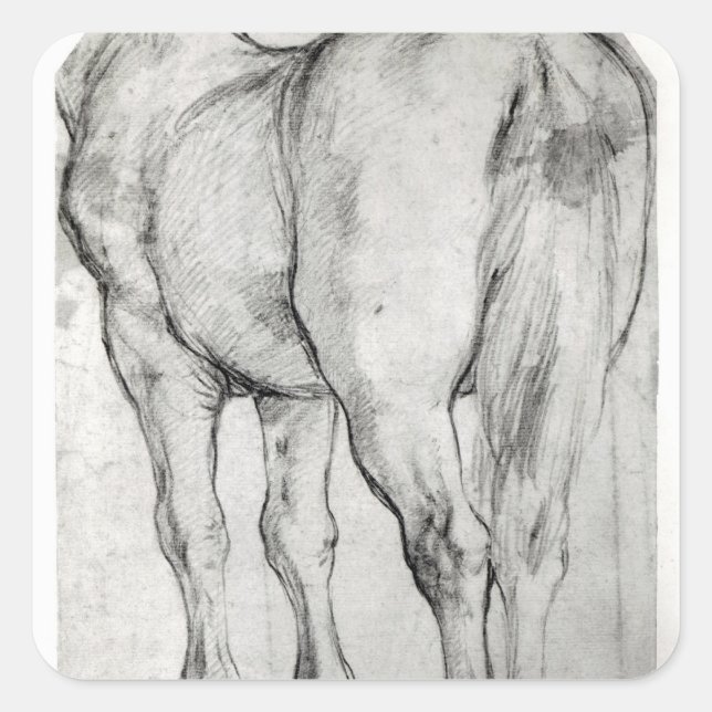 Adesivo Quadrado Traseira do Cavalo (Frente)