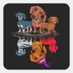 Adesivo Quadrado Três Dachshances Refletindo Presentes Adultos do D