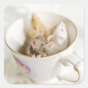 Adesivo Quadrado Três ratos pequenos