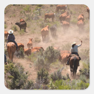 Adesivo Quadrado Três vaqueiros e vaqueiras que conduzem o gado