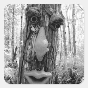 Adesivo Quadrado Troll da árvore em uma árvore Big Cypress.