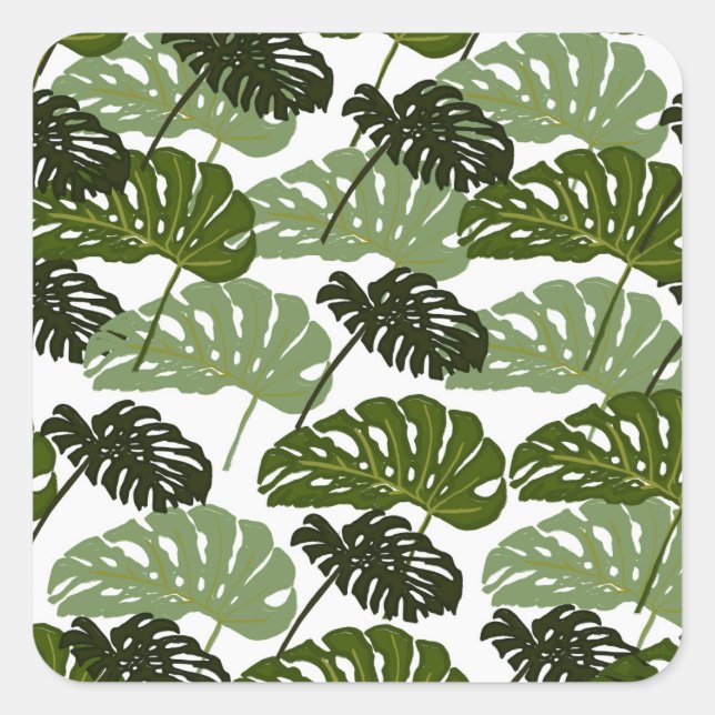 Adesivo Quadrado Tropical Monstera Leaf Green (Frente)