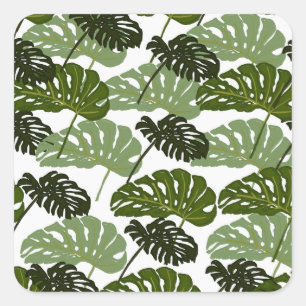 Adesivo Quadrado Tropical Monstera Leaf Green