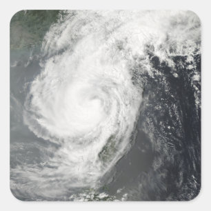 Adesivo Quadrado Tropical Storm Parm