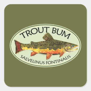 Adesivo Quadrado TROUT BUM - Pesca de mosca Brook Brookie