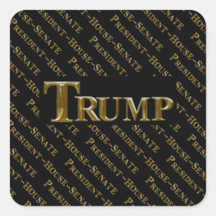 ADESIVO QUADRADO TRUMP 2024