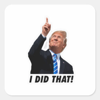 Adesivo Quadrado Trump Eu Fiz Isso - Anti Trump