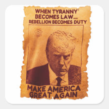 Trump Mugshot Shirt USA Donald Trump Mug Shot