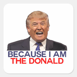 Adesivo Quadrado Trump, porque eu sou o Donald
