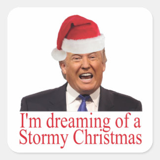 Adesivo Quadrado Trump, Sonhando com um Natal de Tempestade