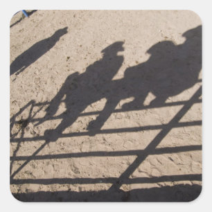 Adesivo Quadrado Tucson, Arizona: Sombras de competidores de Rodeio