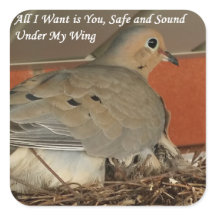 Tudo o que eu quero é que você fique com RoseWrite